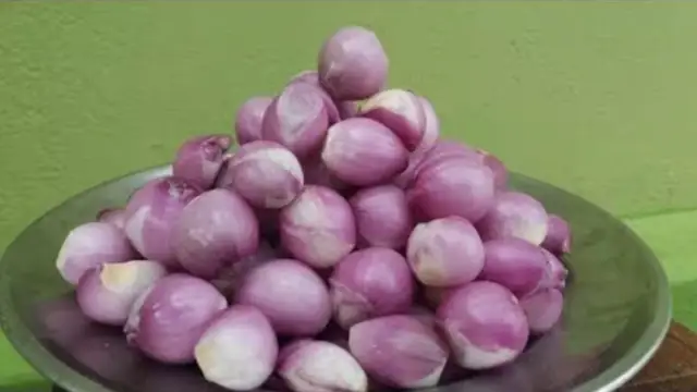 பொடுகுத்தொல்லையை அடியோடு விரட்டும் சின்னவெங்காயம் மற்றும் நாட்டுகோழி முட்டை!