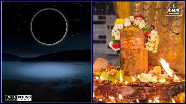 கடன் தீர்ந்து வீட்டில் பணம் சேர தை அம்மாவாசை அன்று நாம் செய்ய‌ வேண்டிய முக்கியமான விஷயங்கள்!