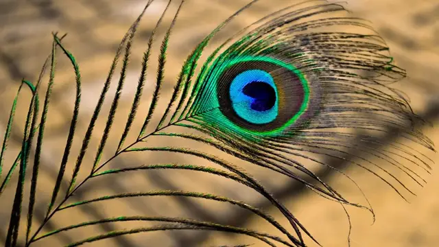 नए साल के पहले दिन इन चीजों खरीदना ना भूलें, माता लक्ष्मी होंगी मेहरबान