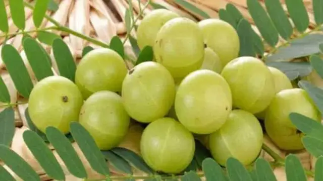 क्या आप भी हैं सफेद बालों से परेशान? इन बातों का रखें खास ख्याल