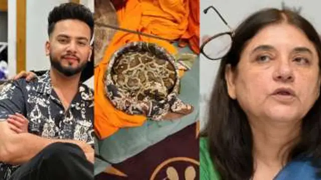 एल्विश यादव को मिली बड़ी राहत, जहर सप्लाई करने के मामले में कोर्ट ने दी जमानत;
