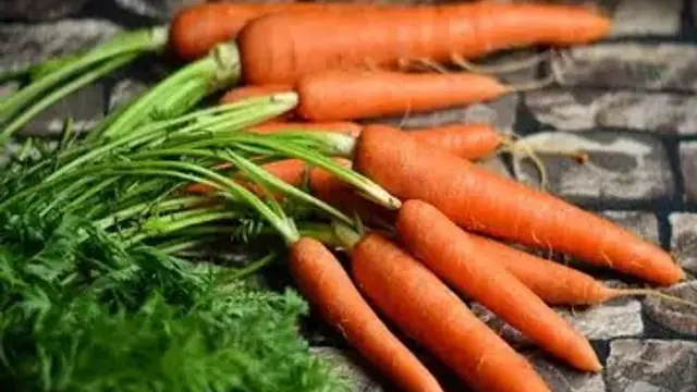 क्या आप भी मिठास से भरे गाजर को नहीं पहचानते? सही गाजर की आज से करें पहचान