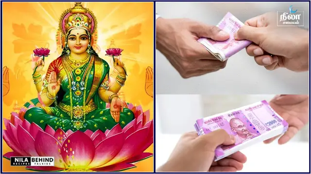 தீயசக்தி விலகி வீட்டில் பண வரவு அதிகரித்து செல்வம் கொழிக்க வீட்டில் இந்த இடத்தில் செம்பருத்தி செடி இருந்தால் போதும்!