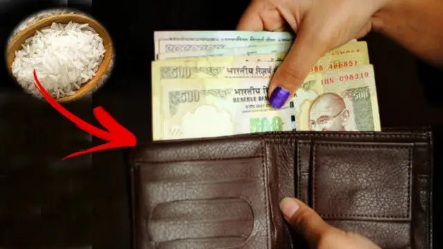 பர்சில் பணம் நிரம்பி வழிய இந்த பொருட்களை வைத்து பாருங்கள்