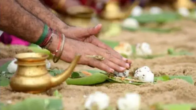 தர்ப்பணத்திற்கு கருப்பு எள் பயன்படுத்துவதற்கு என்ன காரணம் ? தெரிந்தால் ஆச்சர்யபடூவீர்கள்!