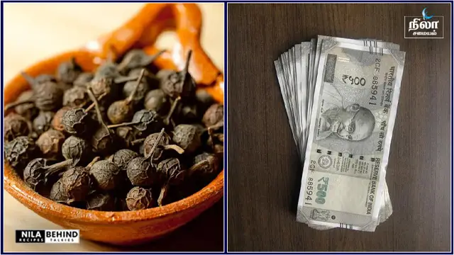 பணம் கையில் தாராளமாக புரலும் கையில் வெறும் வால் மிளகு இருந்தால் மட்டும் பொதும்!