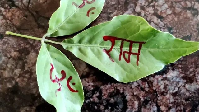 Sawan 2023: भोलेनाथ की पूजा करते समय इस तरह चढ़ा दें भस्म, बड़ी से बड़ी परेशानियां हो जाएंगी दूर
