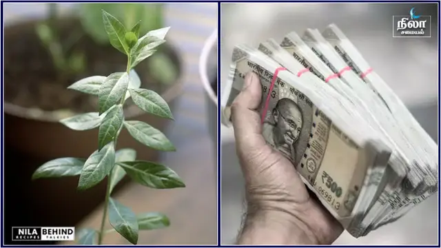 வீடு முழுவதும் மகாலட்சுமி கடாட்சம் நிறைய ஏற்ற வேண்டிய தீபம்!