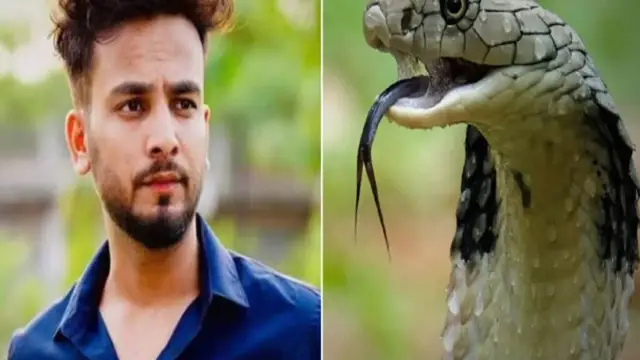 Elvish Yadav की तबीयत अचानक हुई खराब, गुरुगाम के अस्पताल में चल रहा इलाज, इस बीमारी की होगी जांच