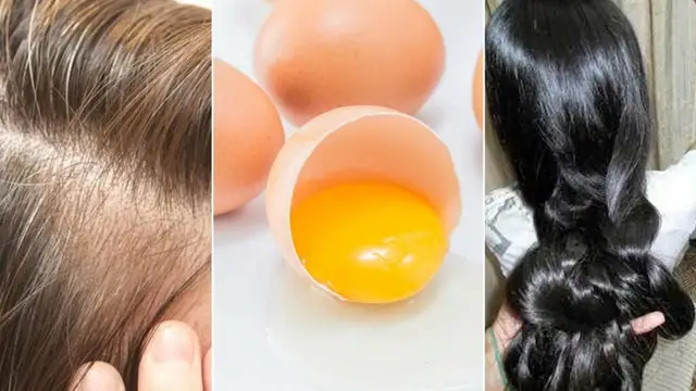क्या आप भी रूखे बालों से परेशान? तो जानिए बालों को सिल्की और घने बनाने का राज
