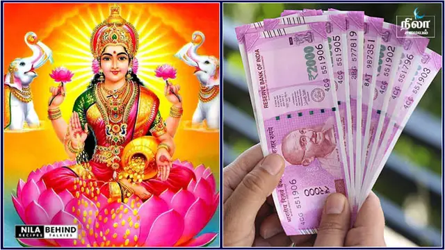 இந்த ஒரு வேர் உங்களிடம் இருந்தால் உங்கள் வெற்றியை யாரும் தடுக்க முடியாதாம் அதுமட்டுமல்லாமல் எந்த தீய சக்தியும் நெருங்காது!