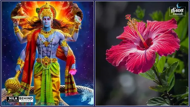 மறந்தும் கூட இந்த மலரை வைத்து இந்த தெய்வத்தை பூஜை செய்யாதீர்!