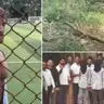टाइगर श्रॉफ फायरिंग केस: आरे के जंगल में 3-4 दिन तक शूटर्स ने की फायरिंग प्रैक्टिस, CCTV फुटेज खंगाल रही पुलिस