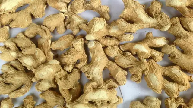 சுக்குவை மிஞ்சிய மருத்துவம் இந்த உலகில் இல்லை நோய் எதிர்ப்பு சக்தி அதிகரிக்கும் சுக்கு தண்ணீர்!