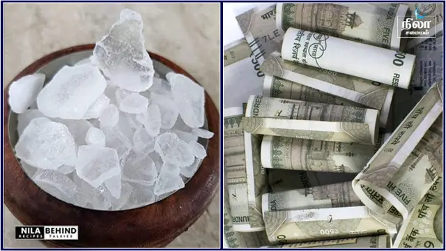 வீட்டில் பணபுழக்கம் அதிகரித்து கொண்டே இருக்க வேண்டுமா ? இந்த ஒரு பொருள் இருந்தால் மட்டும் போதும்!!